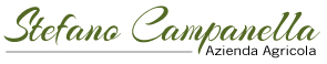 Olio Stefano Campanella Logo